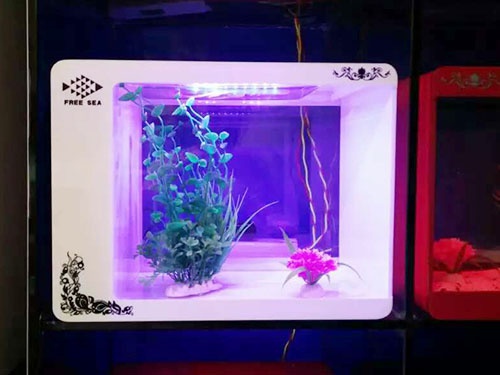 亞克力魚缸
